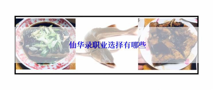  仙华录职业选择有哪些