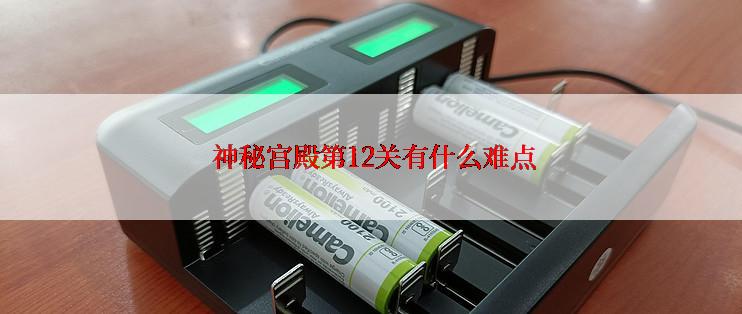  神秘宫殿第12关有什么难点