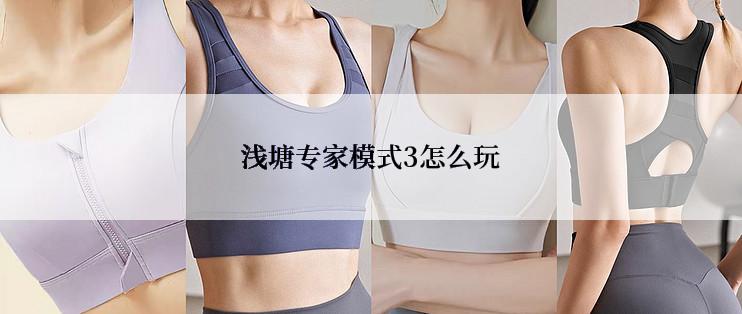 浅塘专家模式3怎么玩
