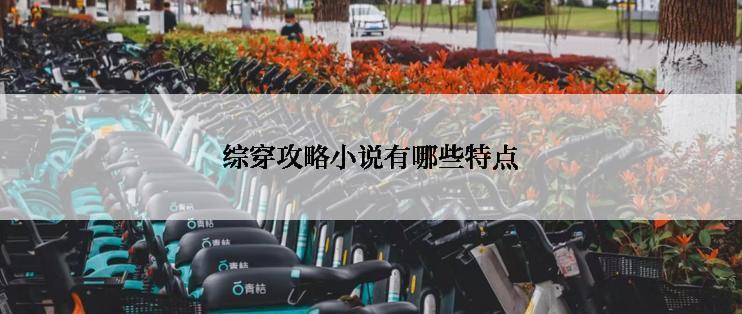 综穿攻略小说有哪些特点