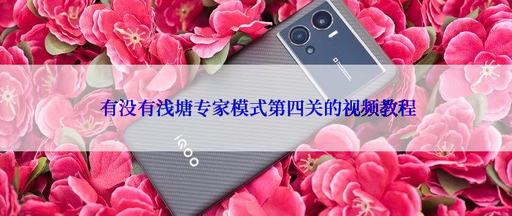  有没有浅塘专家模式第四关的视频教程