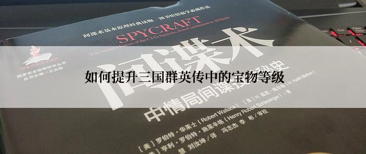  如何提升三国群英传中的宝物等级