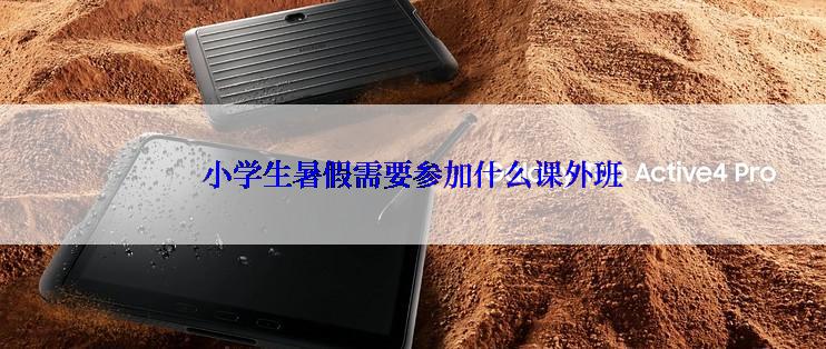 小学生暑假需要参加什么课外班