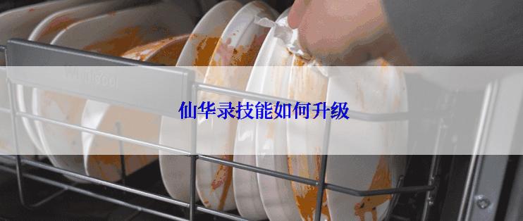 仙华录技能如何升级