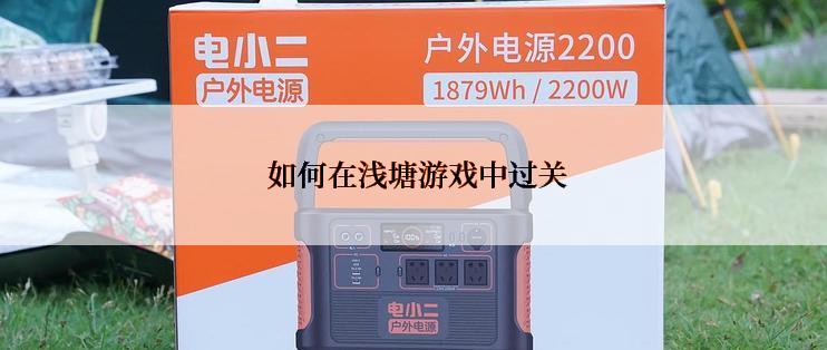  如何在浅塘游戏中过关