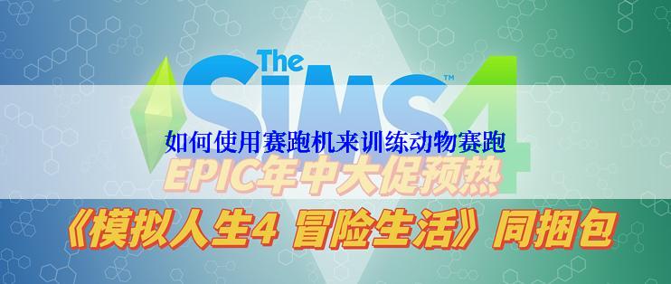 如何使用赛跑机来训练动物赛跑