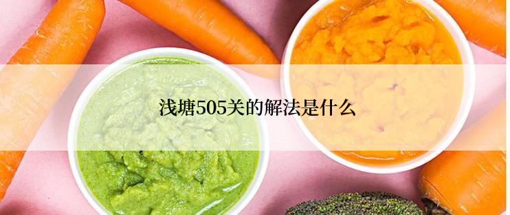  浅塘505关的解法是什么