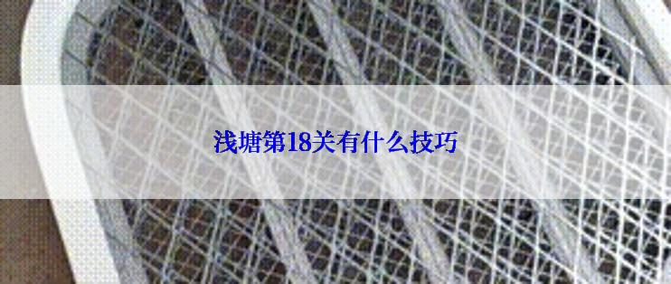 浅塘第18关有什么技巧