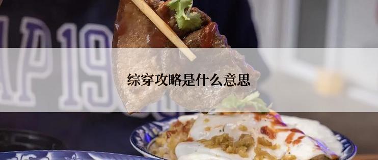 综穿攻略是什么意思