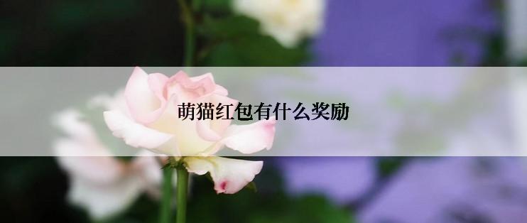 萌猫红包有什么奖励