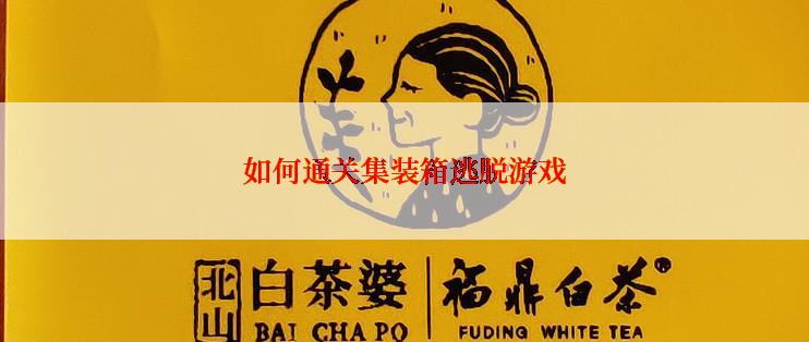 如何通关集装箱逃脱游戏