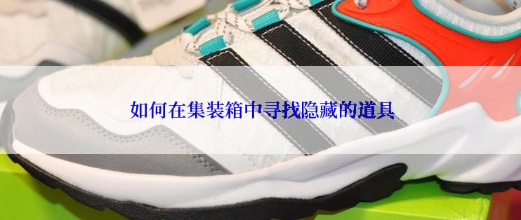  如何在集装箱中寻找隐藏的道具
