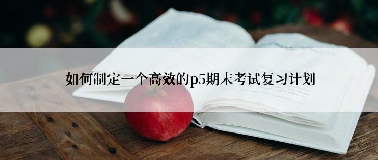 如何制定一个高效的p5期末考试复习计划