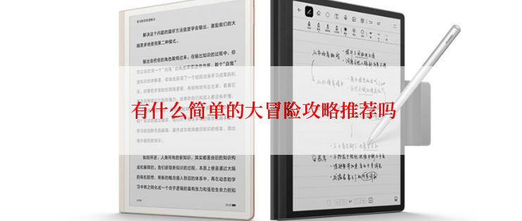  有什么简单的大冒险攻略推荐吗