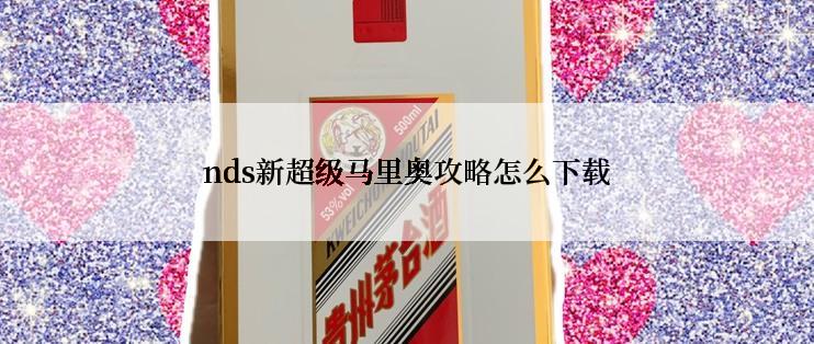 nds新超级马里奥攻略怎么下载
