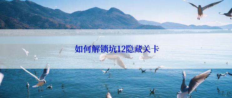  如何解锁坑12隐藏关卡