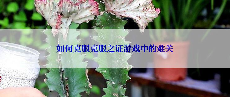 如何克服克服之证游戏中的难关