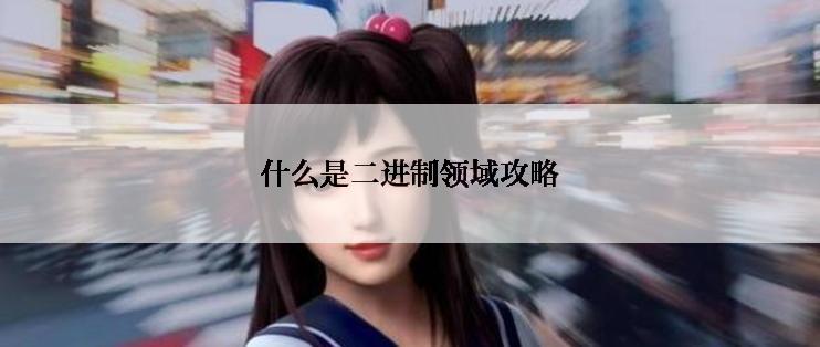 什么是二进制领域攻略