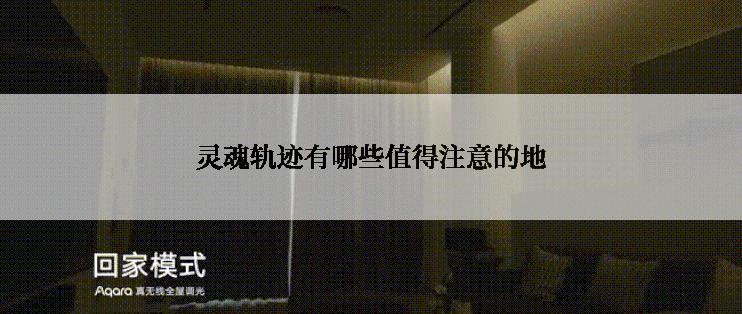 灵魂轨迹有哪些值得注意的地
