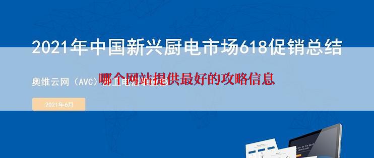 哪个网站提供最好的攻略信息