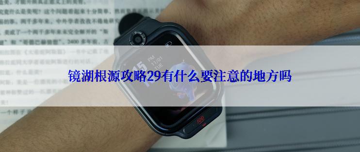 镜湖根源攻略29有什么要注意的地方吗