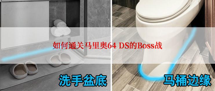 如何通关马里奥64 DS的Boss战
