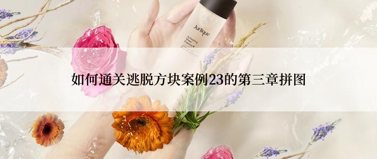 如何通关逃脱方块案例23的第三章拼图