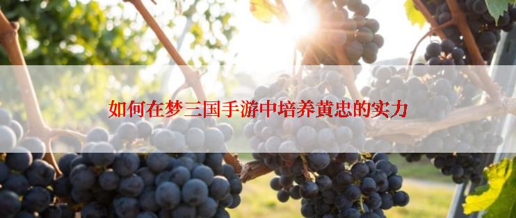 如何在梦三国手游中培养黄忠的实力
