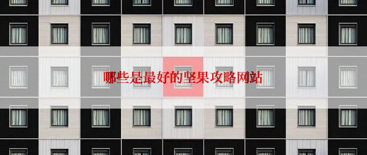 哪些是最好的坚果攻略网站