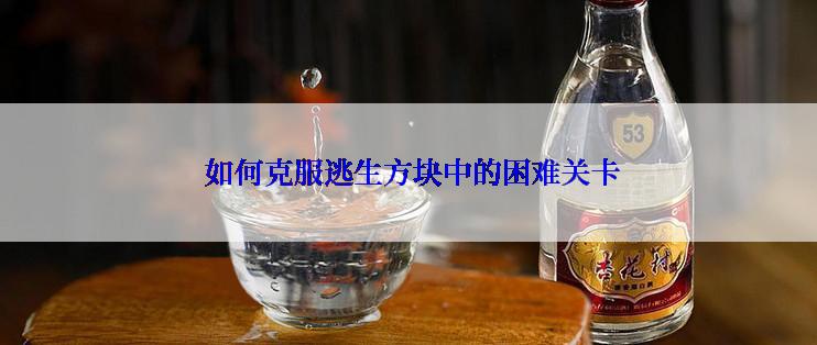  如何克服逃生方块中的困难关卡