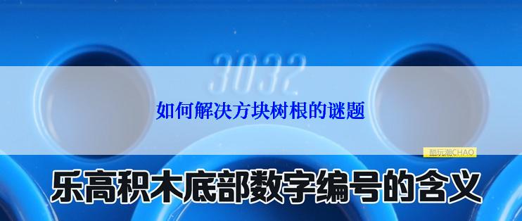 如何解决方块树根的谜题