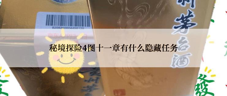 秘境探险4图十一章有什么隐藏任务