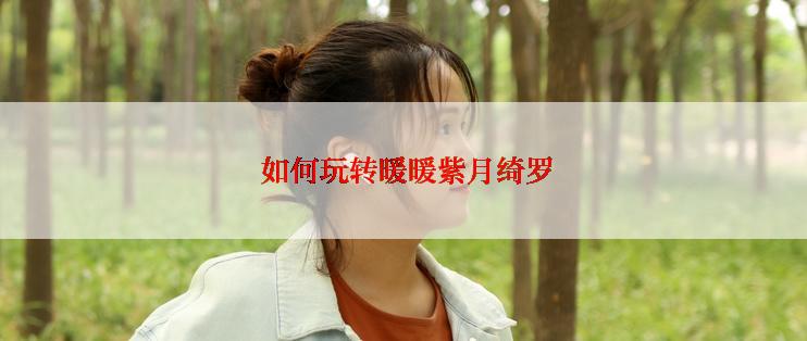  如何玩转暖暖紫月绮罗