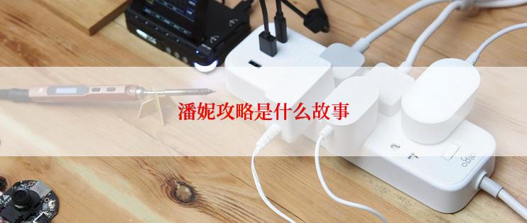 潘妮攻略是什么故事