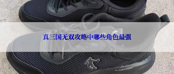 真三国无双攻略中哪些角色最强