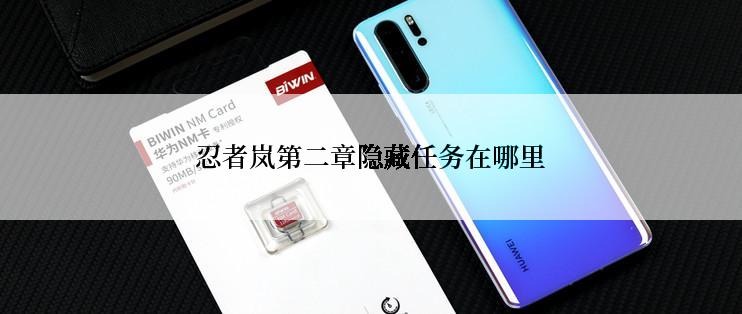 忍者岚第二章隐藏任务在哪里