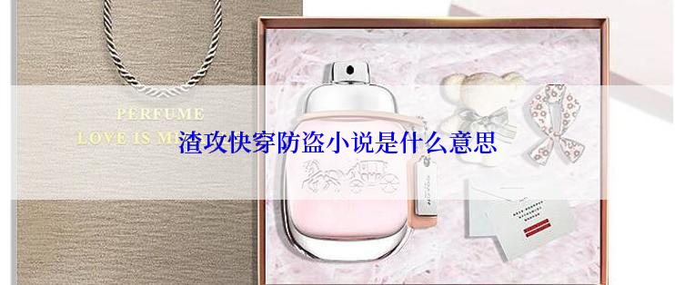 渣攻快穿防盗小说是什么意思