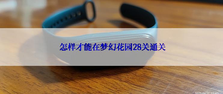  怎样才能在梦幻花园28关通关