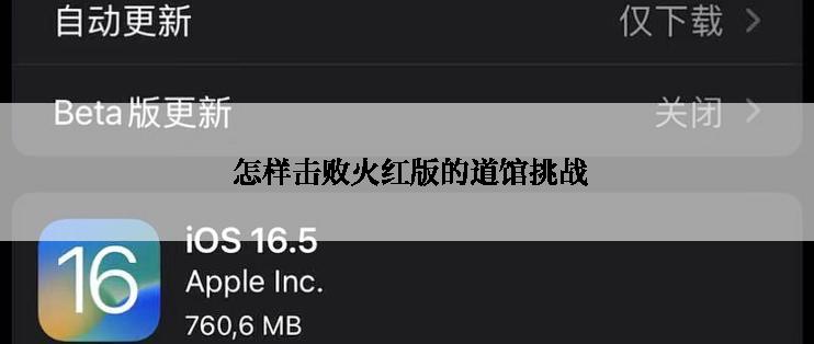 怎样击败火红版的道馆挑战