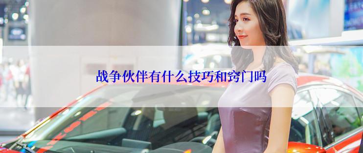 战争伙伴有什么技巧和窍门吗