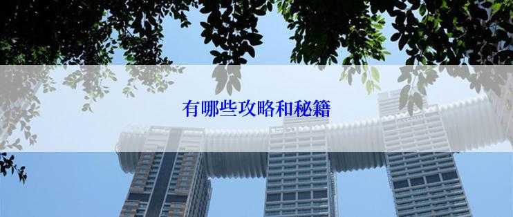 有哪些攻略和秘籍