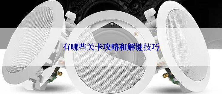 有哪些关卡攻略和解谜技巧