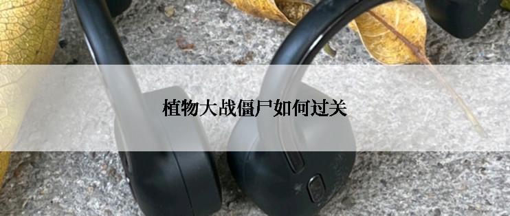 植物大战僵尸如何过关