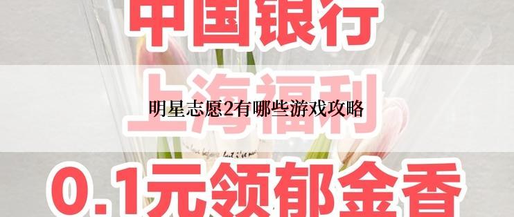 明星志愿2有哪些游戏攻略
