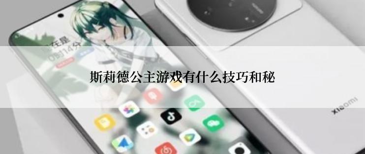 斯莉德公主游戏有什么技巧和秘