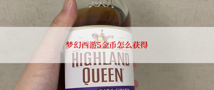 梦幻西游5金币怎么获得