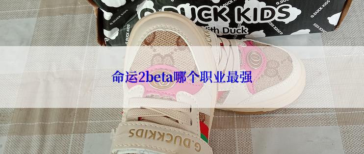 命运2beta哪个职业最强