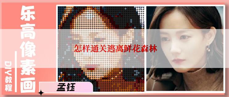  怎样通关逃离鲜花森林