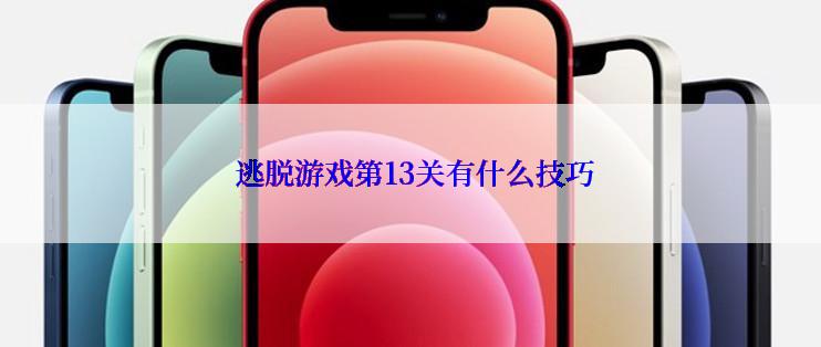  逃脱游戏第13关有什么技巧