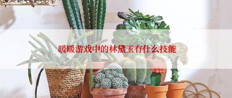  暖暖游戏中的林黛玉有什么技能